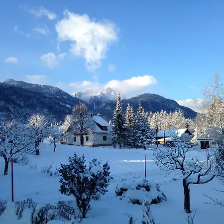 Andrae ヘルマゴル